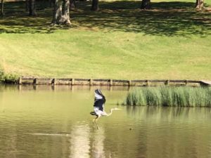 Cane Creek Channel