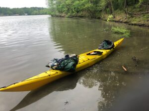 Lake Cleanup